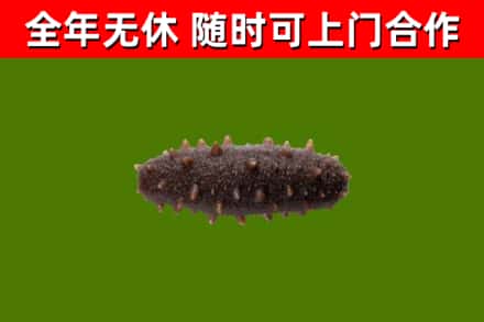 安州区烟酒回收干海参.jpg
